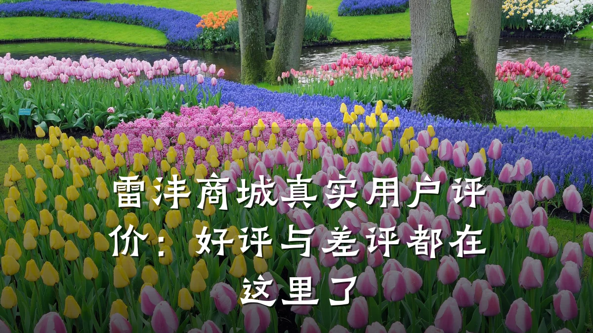 雷沣商城真实用户评价:好评与差评都在这里了