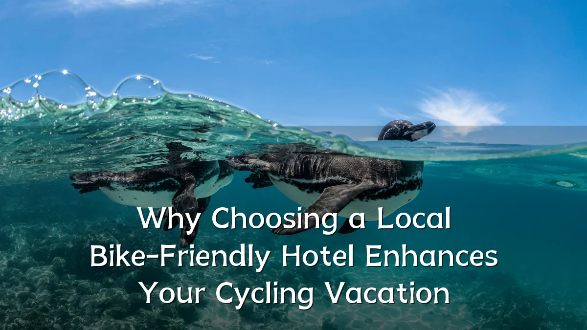 Why Choosing a Local Bike-Friendly Hotel Enhances Your Cycling Vacation