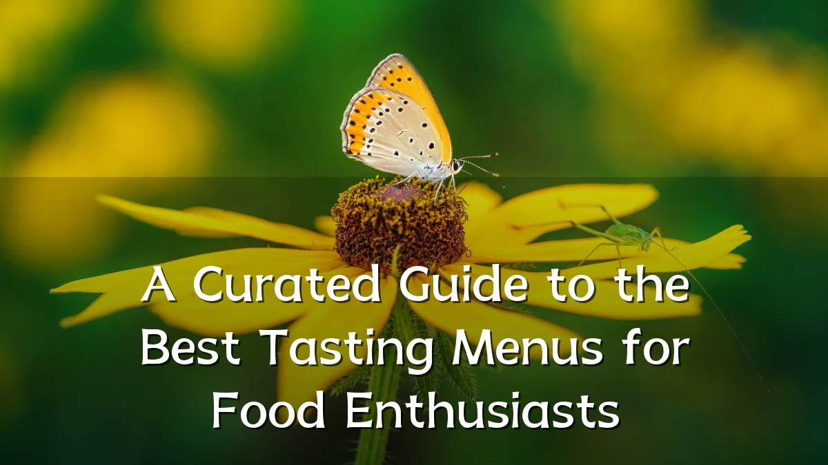 A Curated Guide to the Best Tasting Menus for Food Enthusiasts