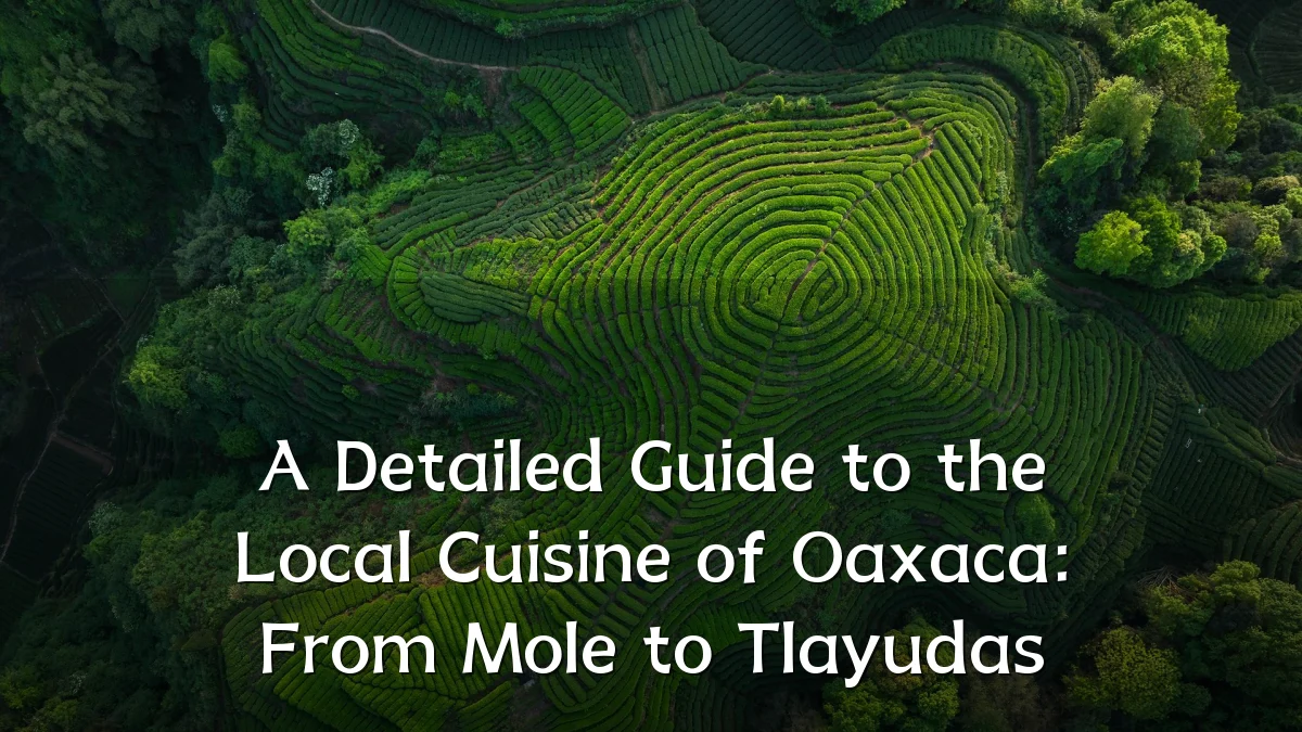 A Detailed Guide to the Local Cuisine of Oaxaca: From Mole to Tlayudas