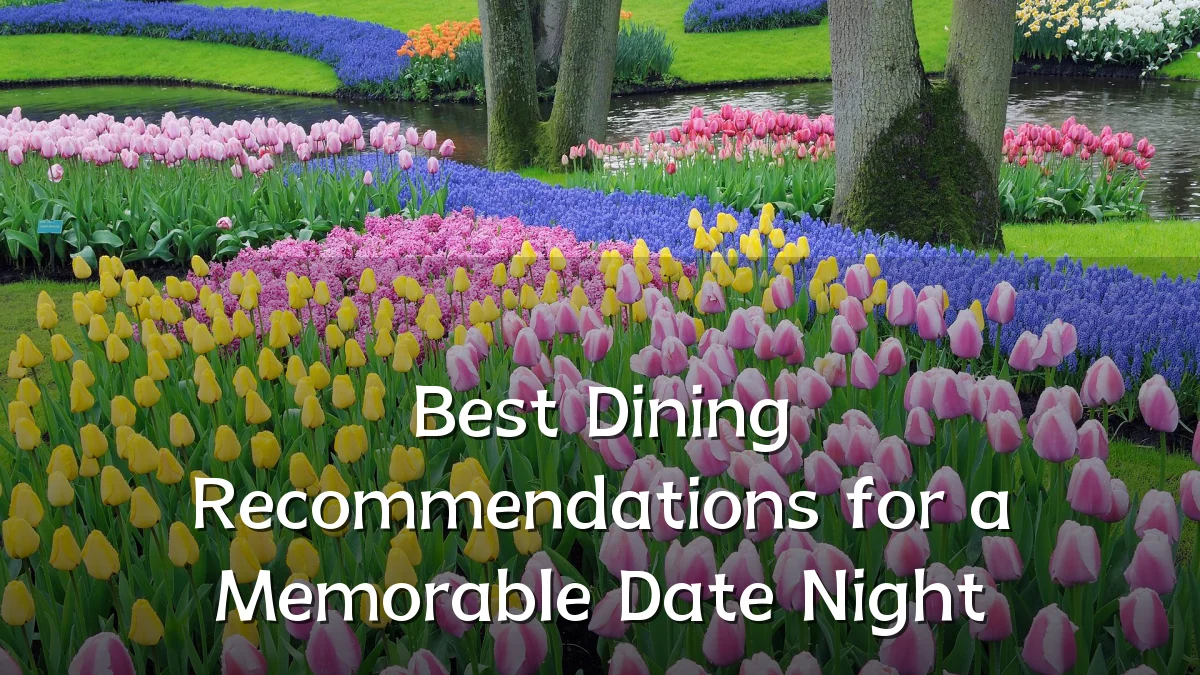 Best Dining Recommendations for a Memorable Date Night