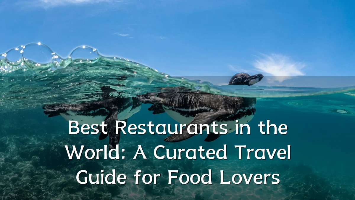 Best Restaurants in the World: A Curated Travel Guide for Food Lovers