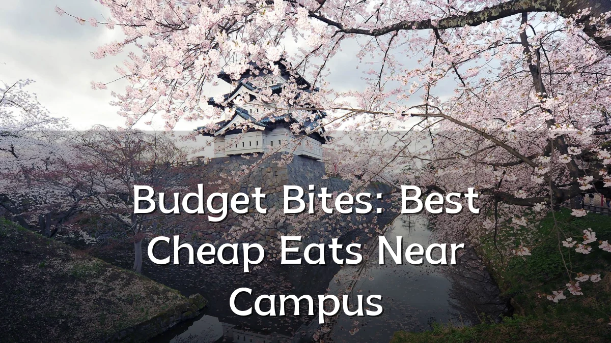 Budget Bites: Best Cheap Eats Near Campus
