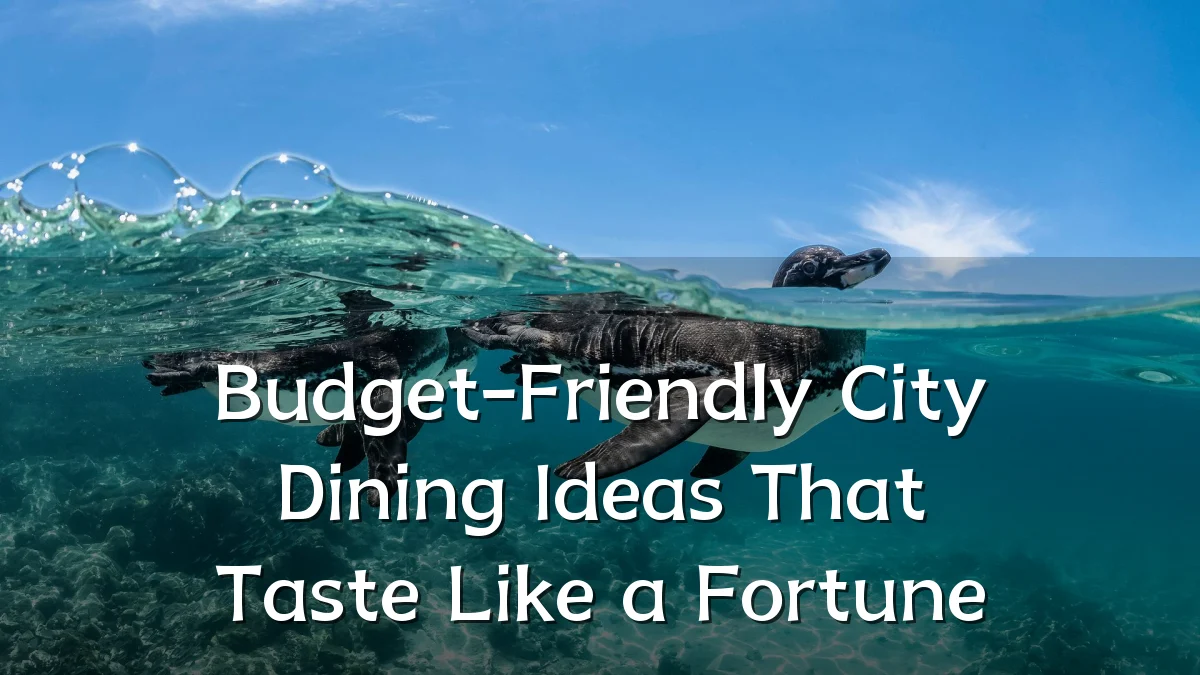 Budget-Friendly City Dining Ideas That Taste Like a Fortune