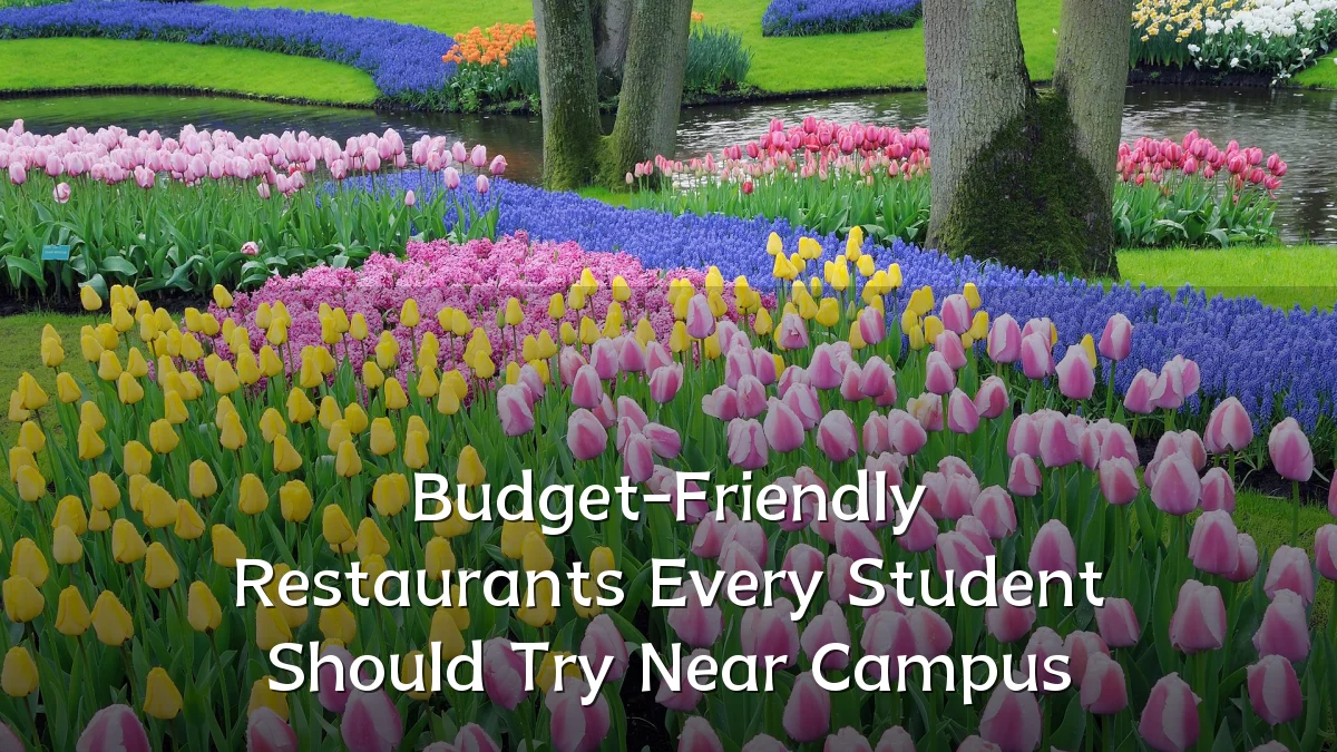 Budget-Friendly Restaurants Every Student Should Try Near Campus