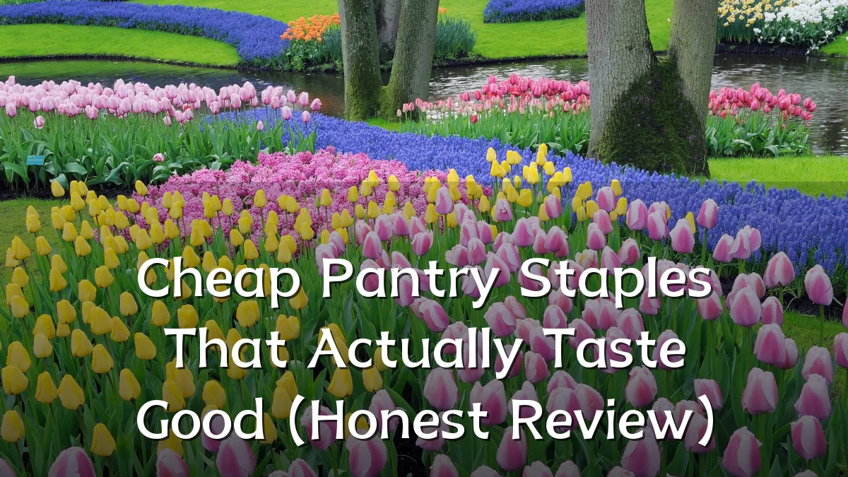 Cheap Pantry Staples That Actually Taste Good (Honest Review)