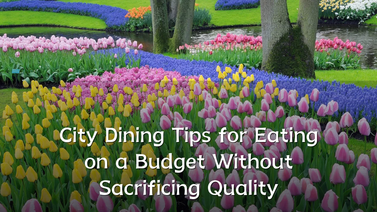 City Dining Tips for Eating on a Budget Without Sacrificing Quality