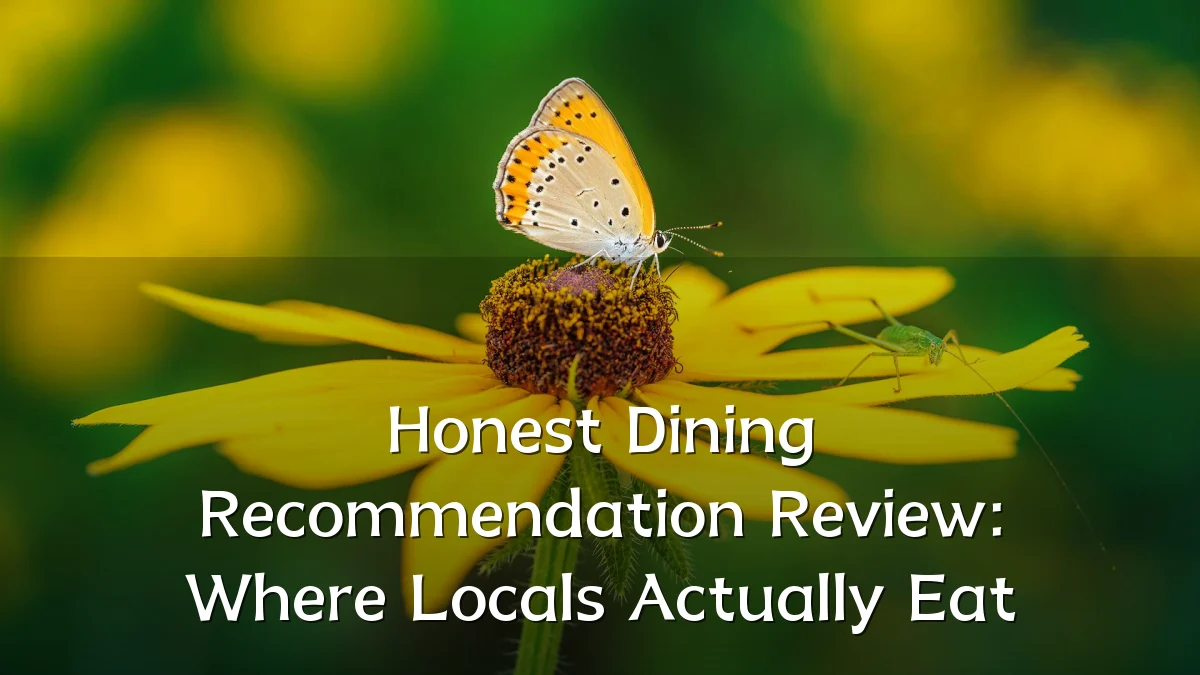 Honest Dining Recommendation Review: Where Locals Actually Eat