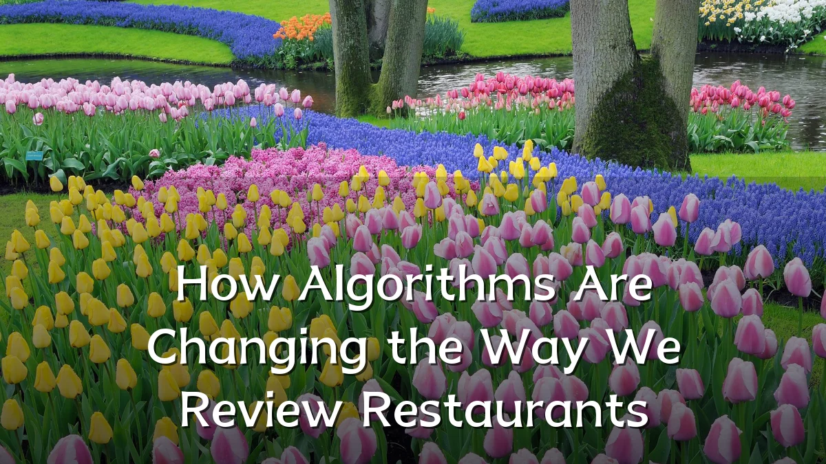 How Algorithms Are Changing the Way We Review Restaurants