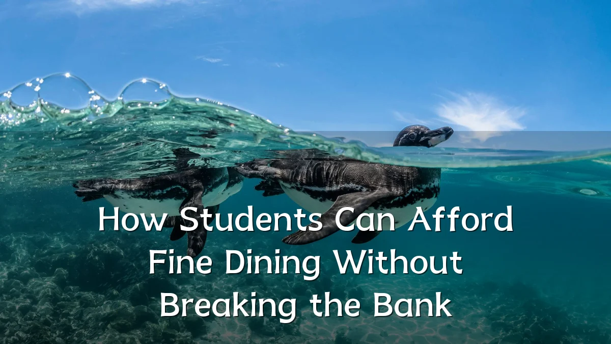 How Students Can Afford Fine Dining Without Breaking the Bank