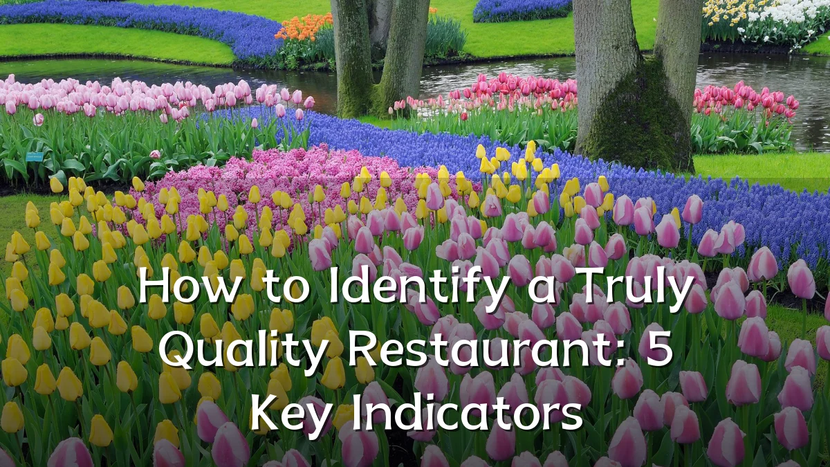 How to Identify a Truly Quality Restaurant: 5 Key Indicators