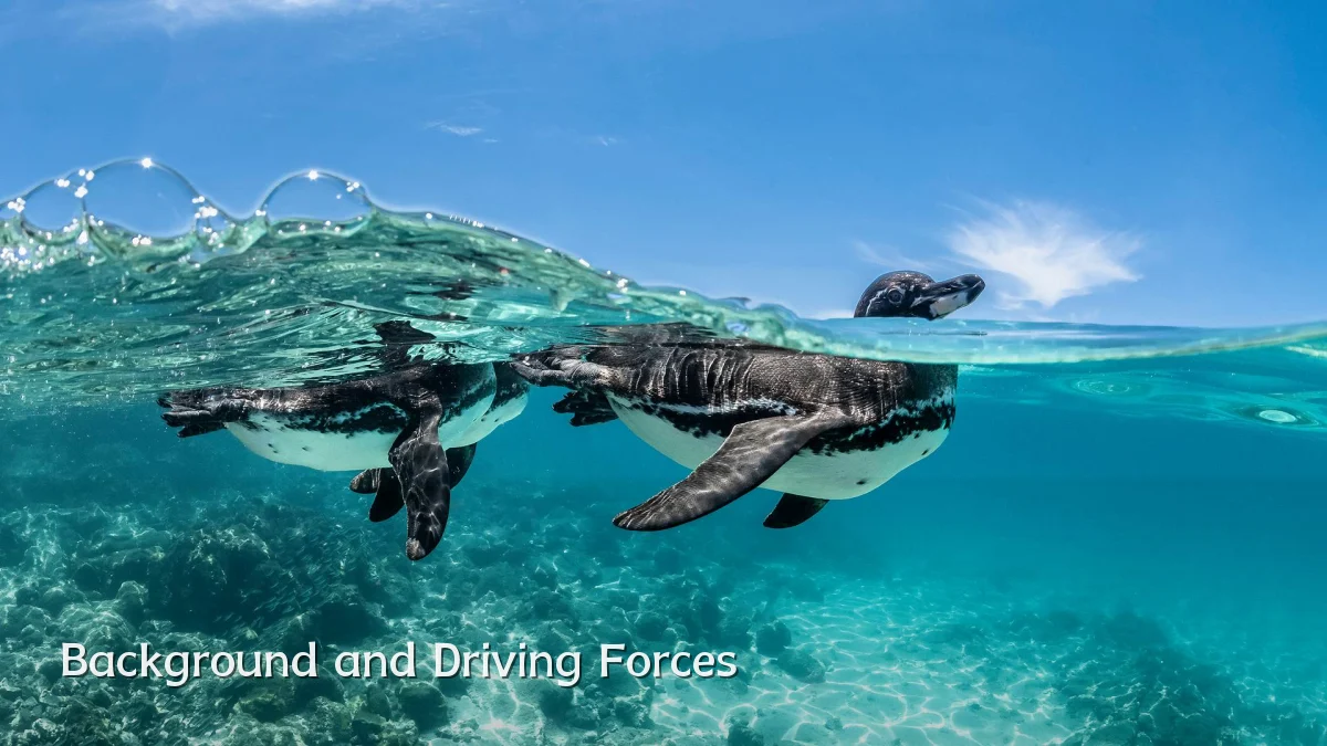 Background and Driving Forces