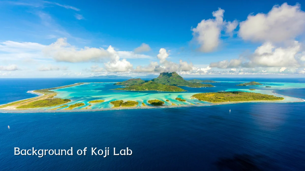 Background of Koji Lab
