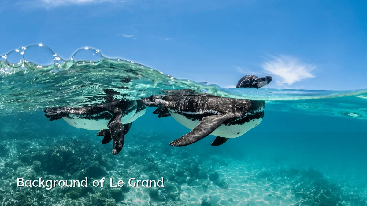Background of Le Grand