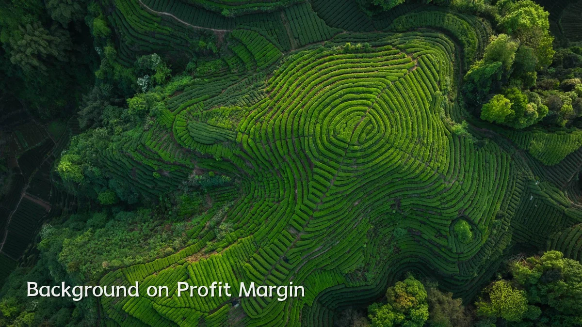 Background on Profit Margin