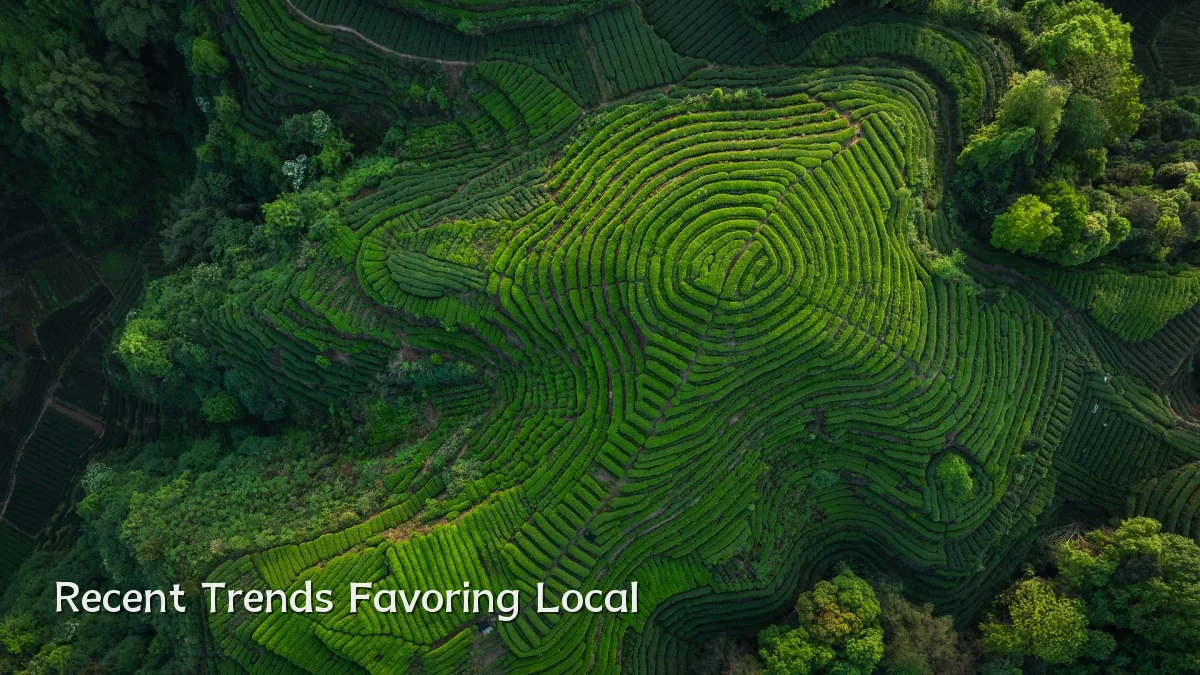 Recent Trends Favoring Local