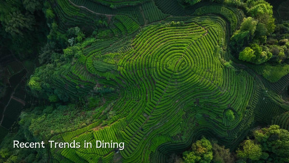 Recent Trends in Dining