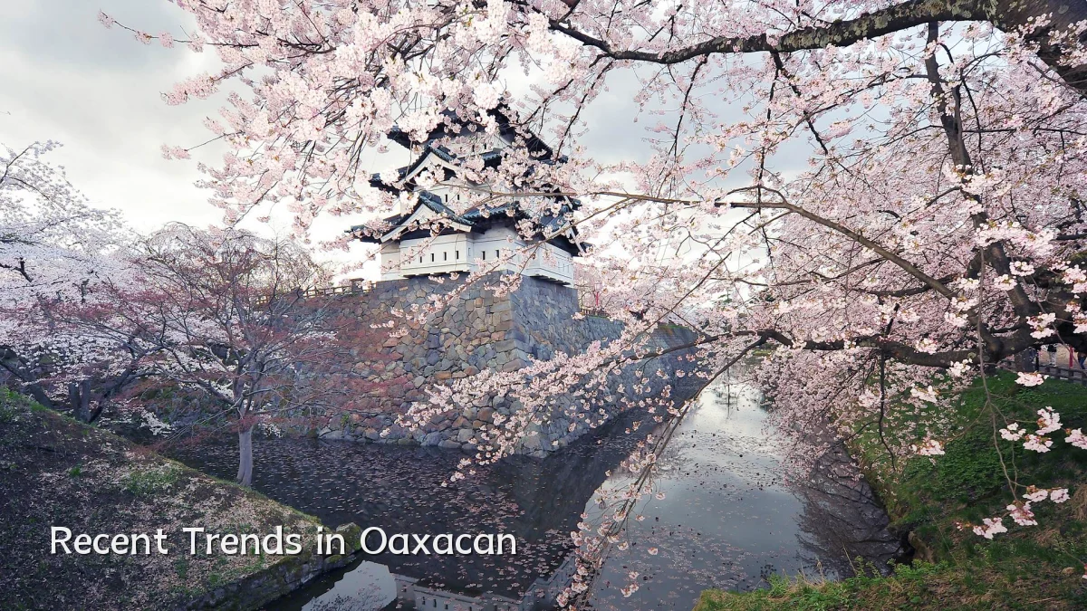 Recent Trends in Oaxacan