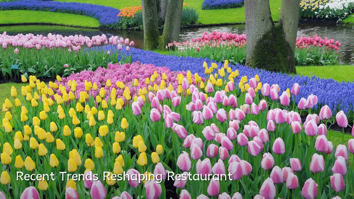 Recent Trends Reshaping Restaurant