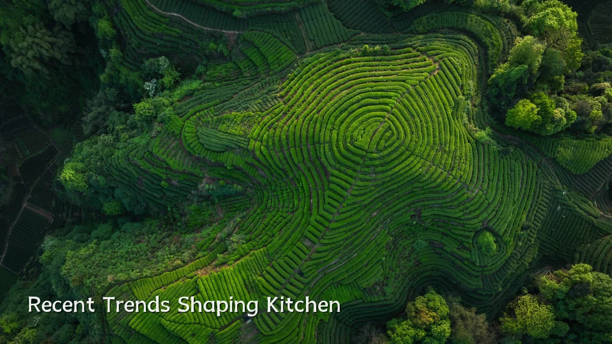 Recent Trends Shaping Kitchen