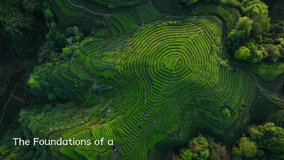 The Foundations of a
