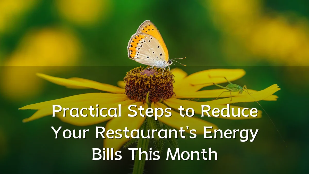 Practical Steps to Reduce Your Restaurant's Energy Bills This Month