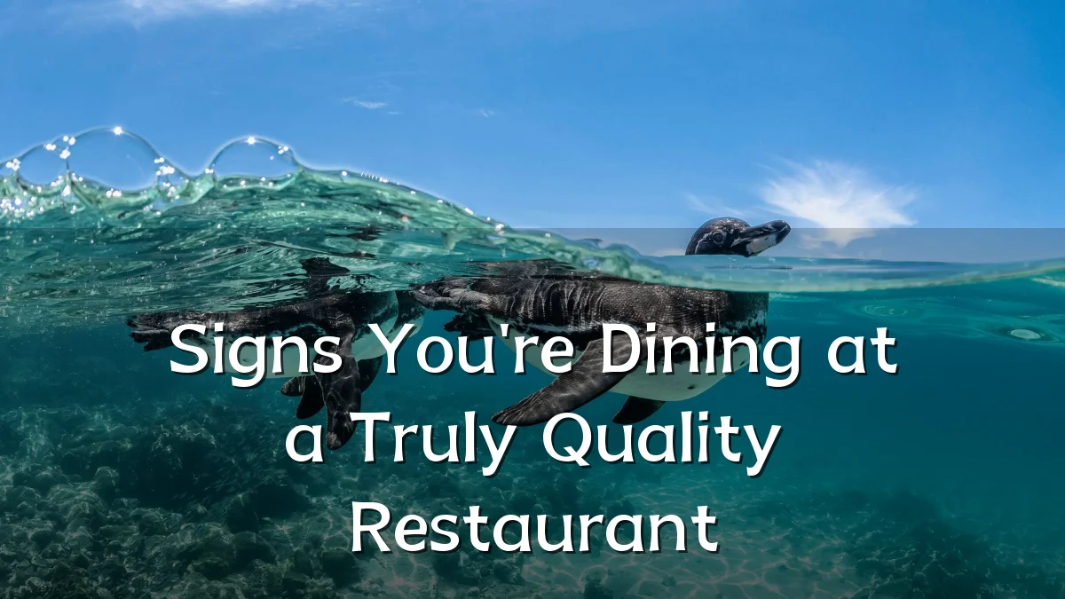 Signs You're Dining at a Truly Quality Restaurant