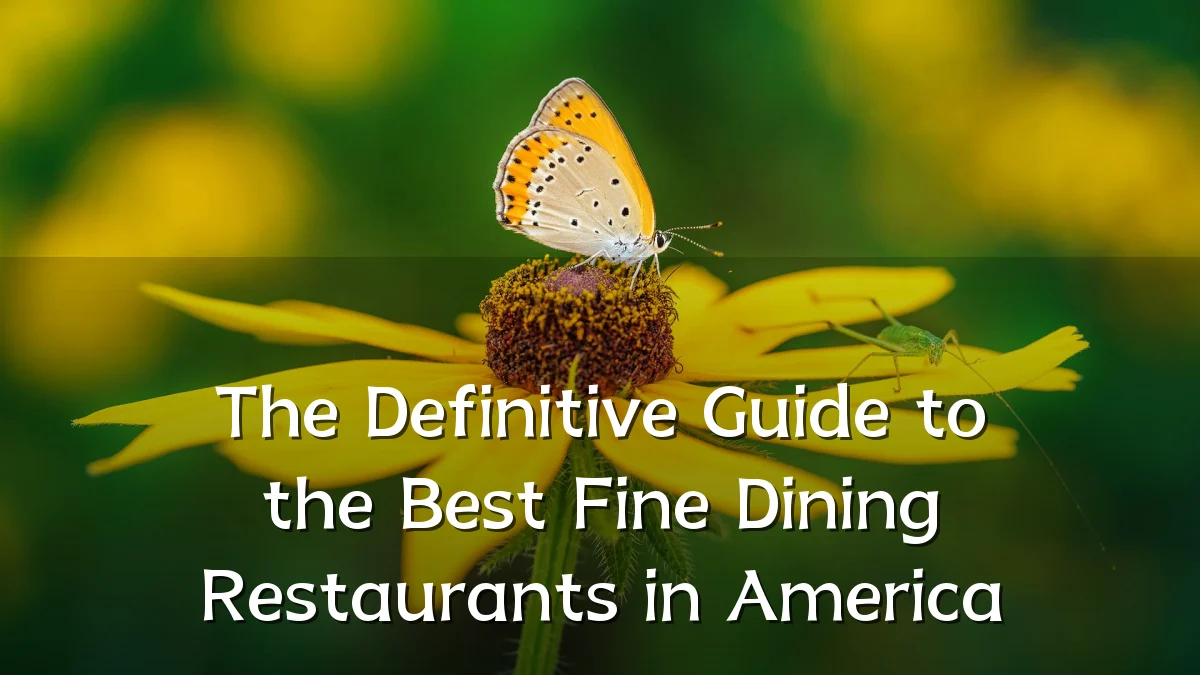The Definitive Guide to the Best Fine Dining Restaurants in America