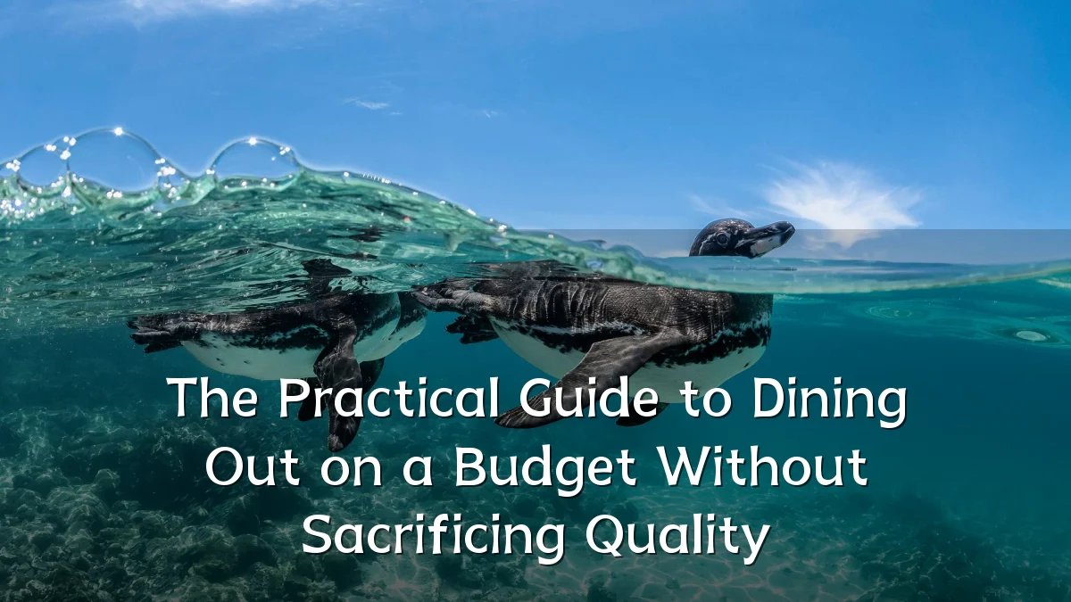 The Practical Guide to Dining Out on a Budget Without Sacrificing Quality