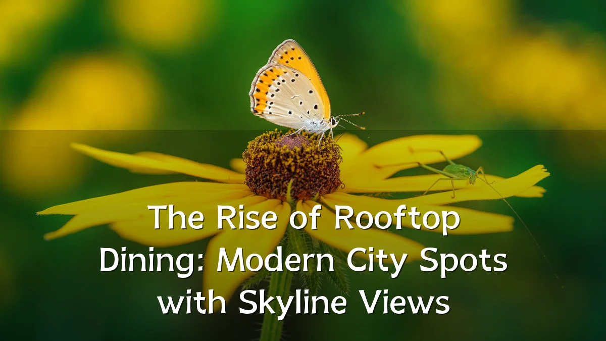 The Rise of Rooftop Dining: Modern City Spots with Skyline Views