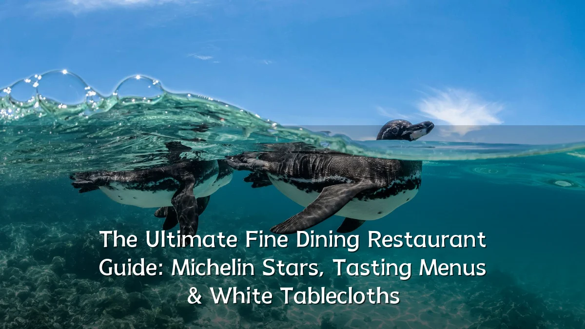 The Ultimate Fine Dining Restaurant Guide: Michelin Stars, Tasting Menus & White Tablecloths
