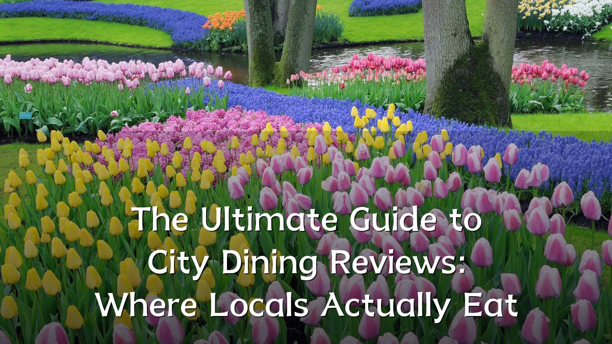 The Ultimate Guide to City Dining Reviews: Where Locals Actually Eat