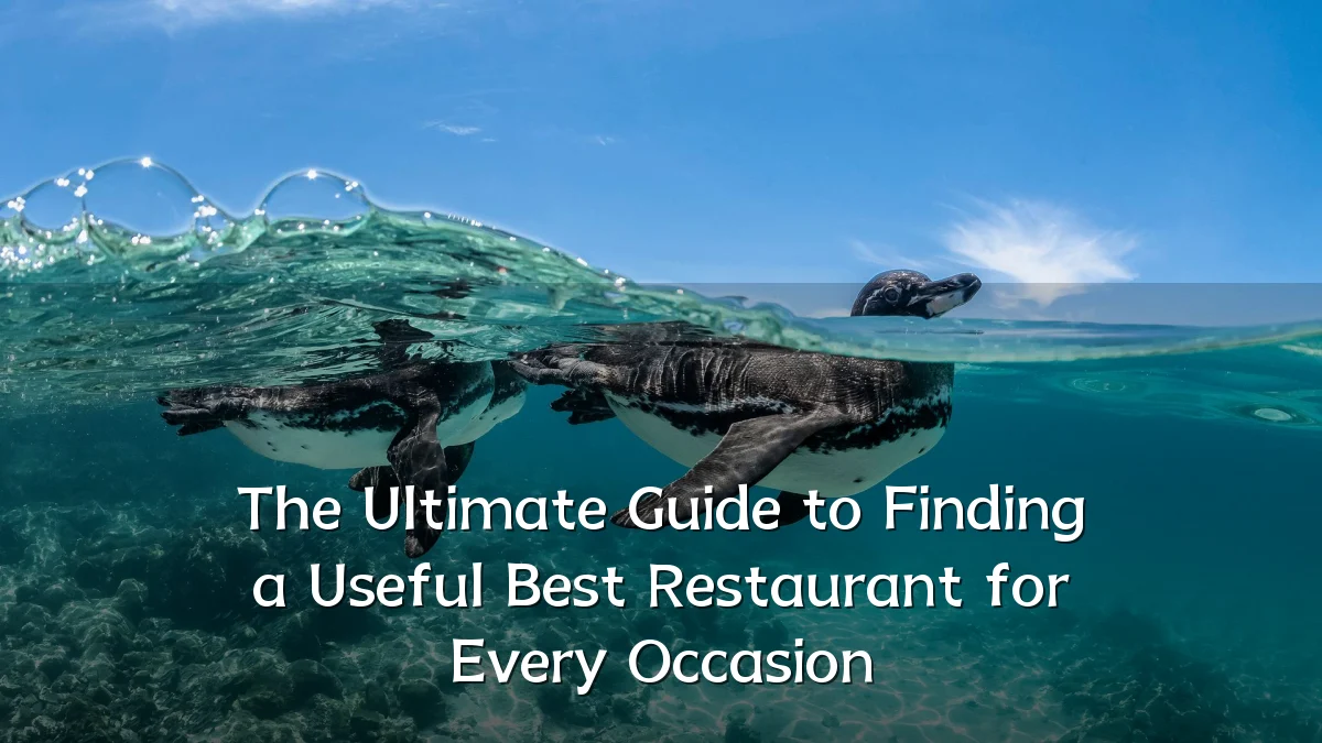 The Ultimate Guide to Finding a Useful Best Restaurant for Every Occasion