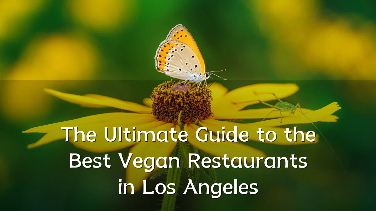 The Ultimate Guide to the Best Vegan Restaurants in Los Angeles