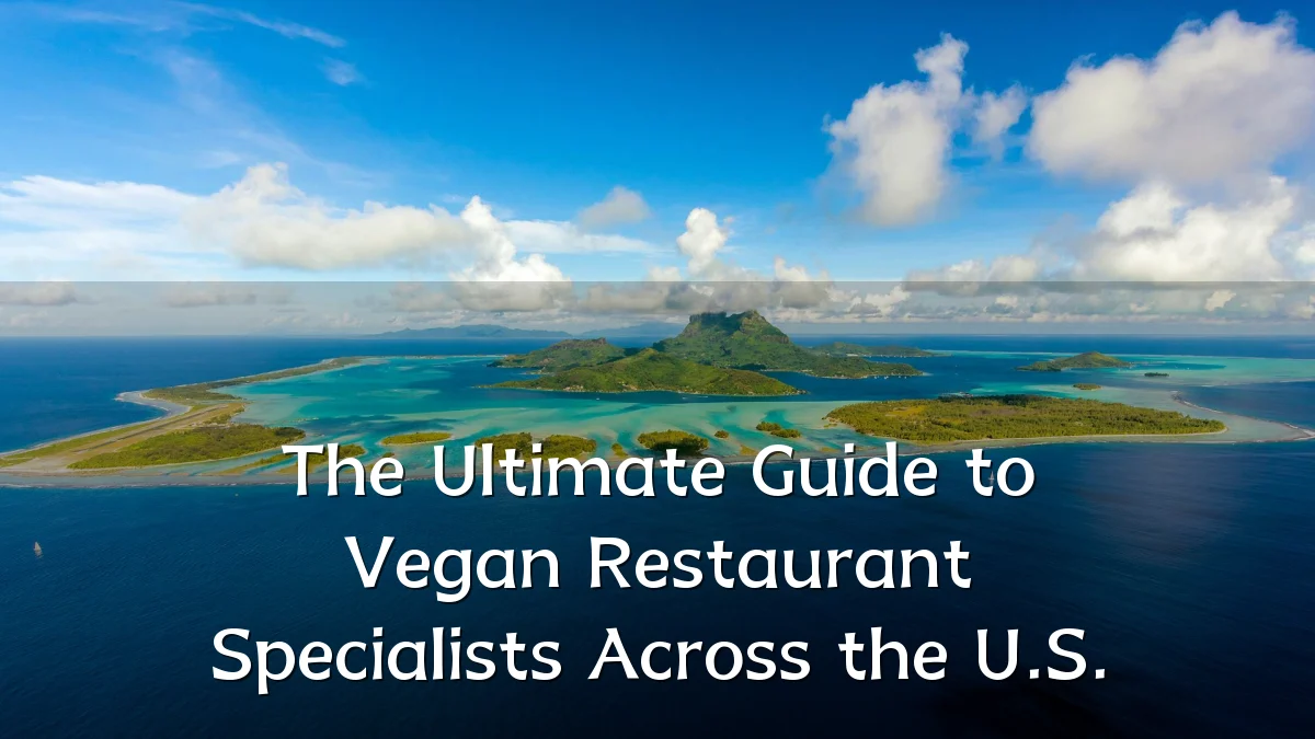 The Ultimate Guide to Vegan Restaurant Specialists Across the U.S.