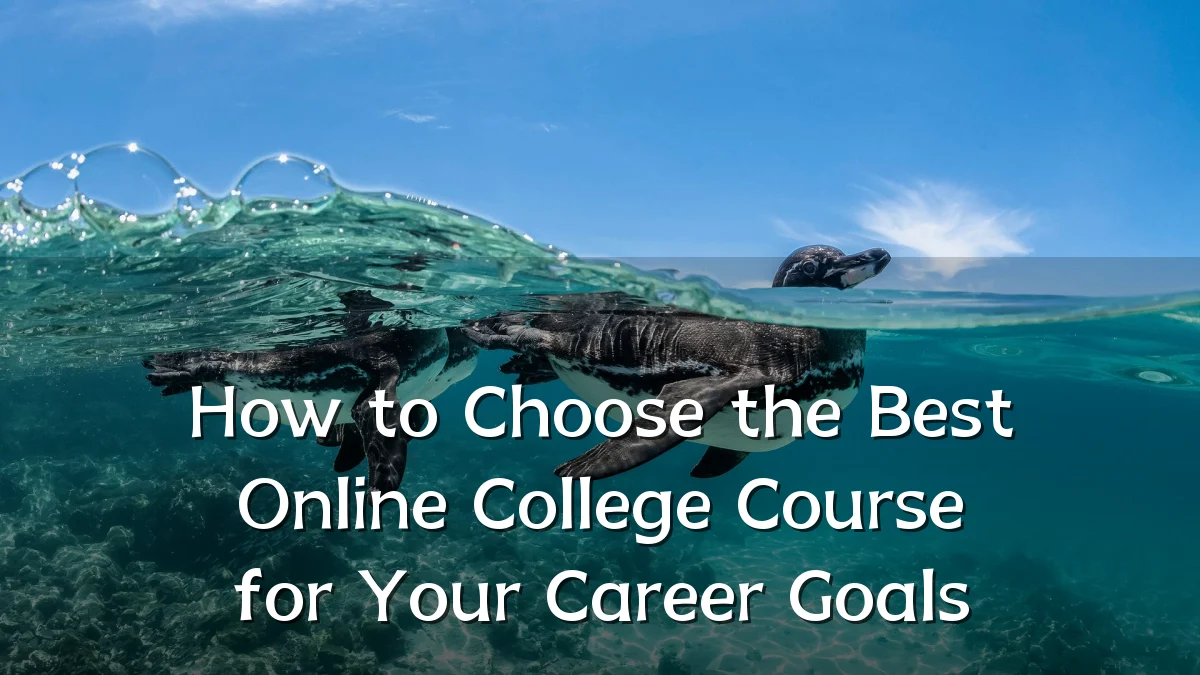 How to Choose the Best Online College Course for Your Career Goals