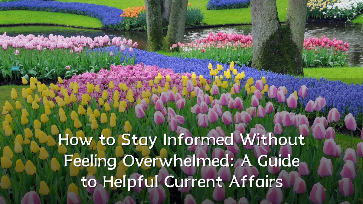 How to Stay Informed Without Feeling Overwhelmed: A Guide to Helpful Current Affairs