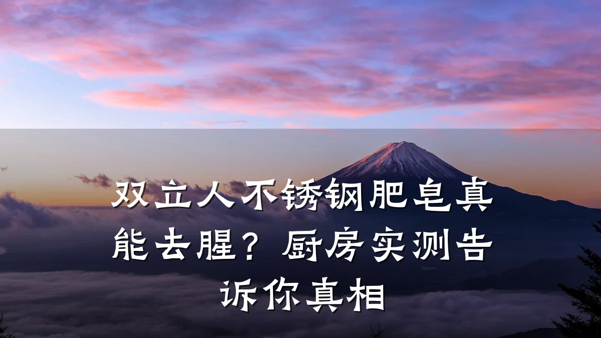 双立人不锈钢肥皂真能去腥？厨房实测告诉你真相