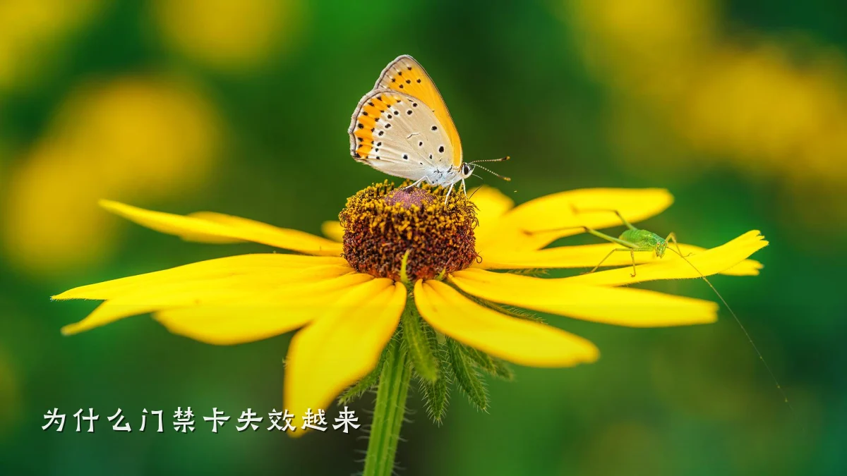 为什么门禁卡失效越来